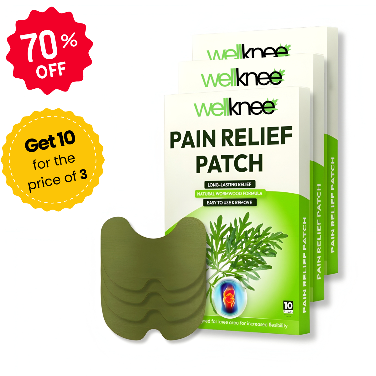 Wellnee Pain Relief Patches